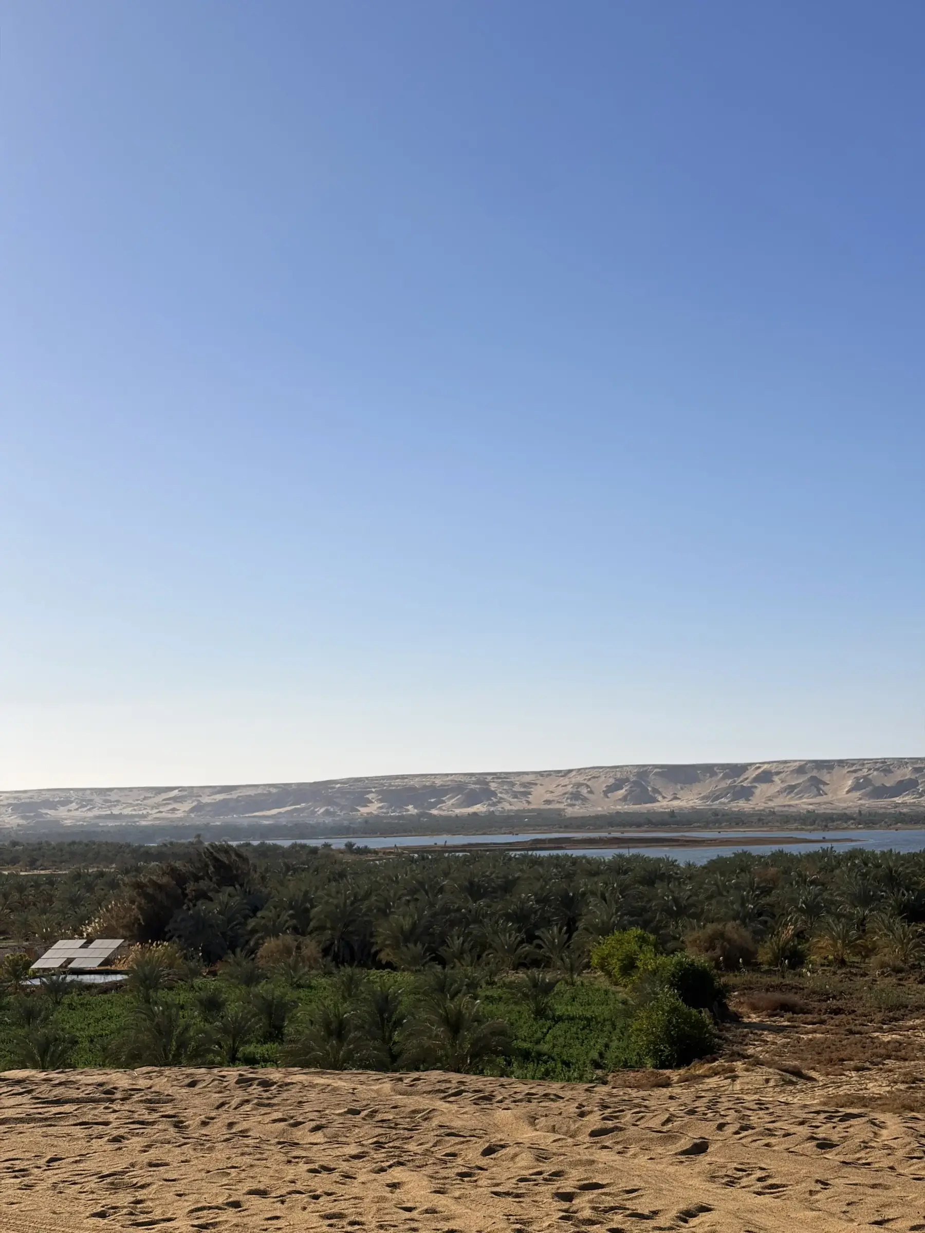 Salt Lake and palm groves in Bahariya Oasis on the four day Egypt total solar eclipse tour 2027