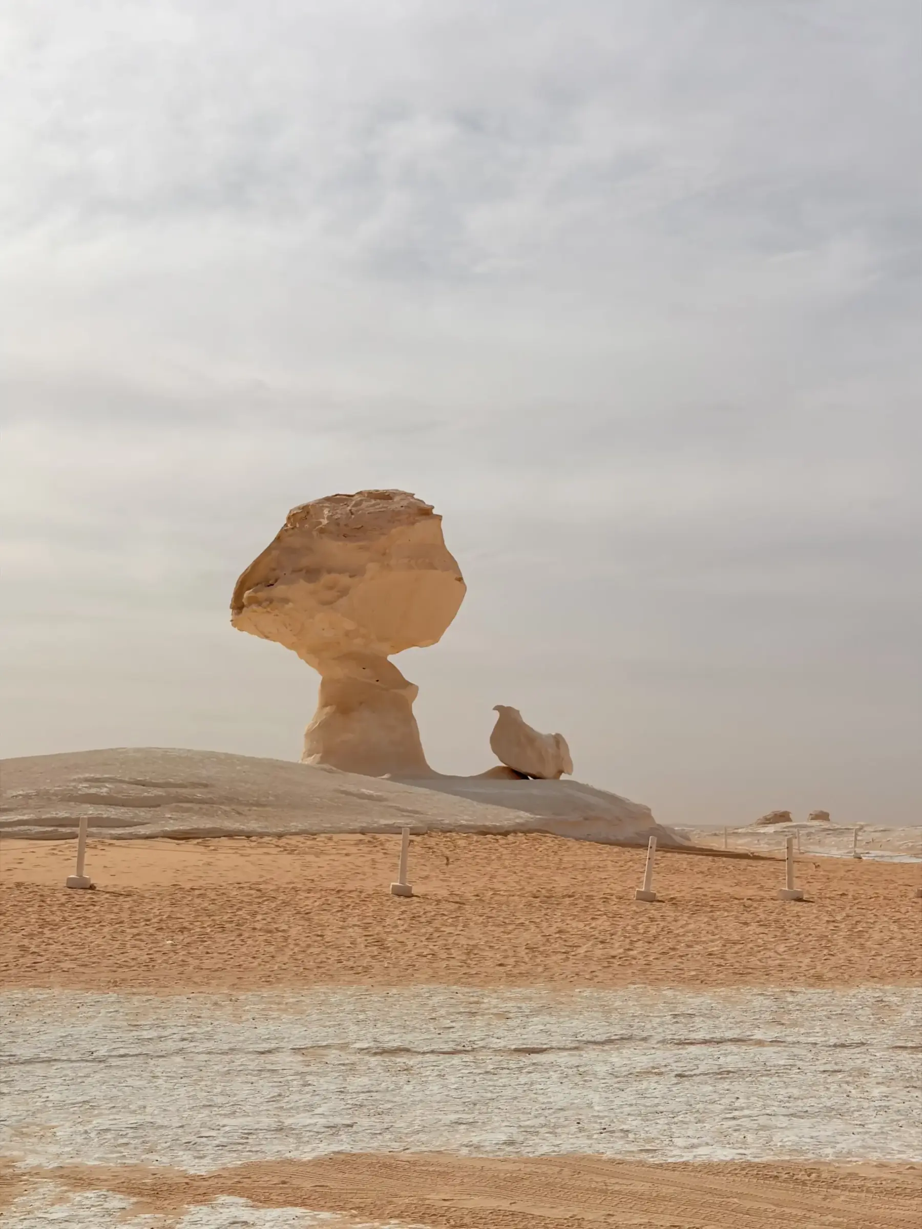 Mushroom and Chicken Rock formations visited on the final day of the White Desert eclipse tour 2027